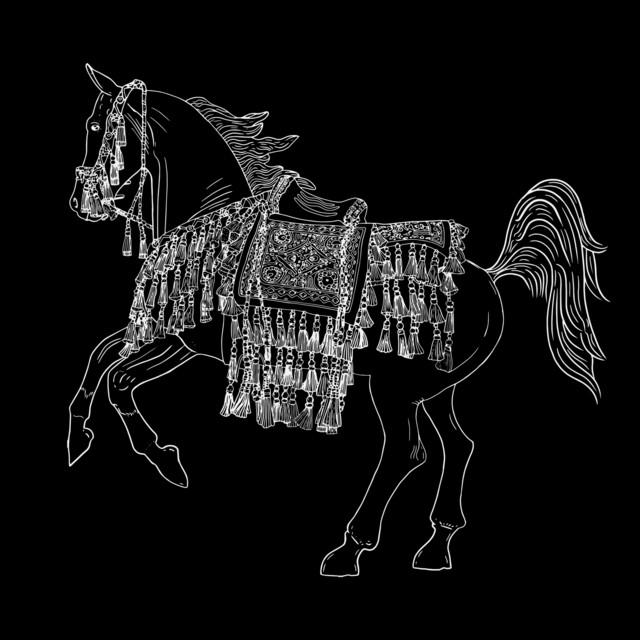 Tassels - Magda Halina Remix cover art