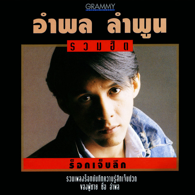 รวมฮิต ร็อกเจ็บลึก by หนุ่ย อำพล