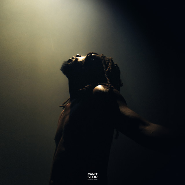 Briller - Acoustique