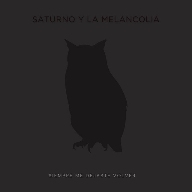 Siempre Me Dejaste Volver cover art