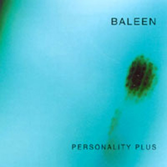 Baleen