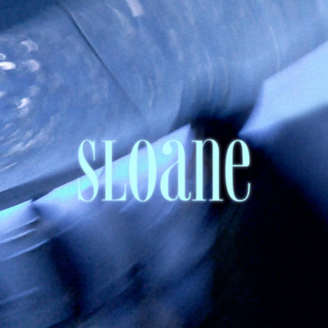 Swan Ring cover art