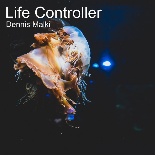 Life Controller - Single by Dennis Malki | Spotify