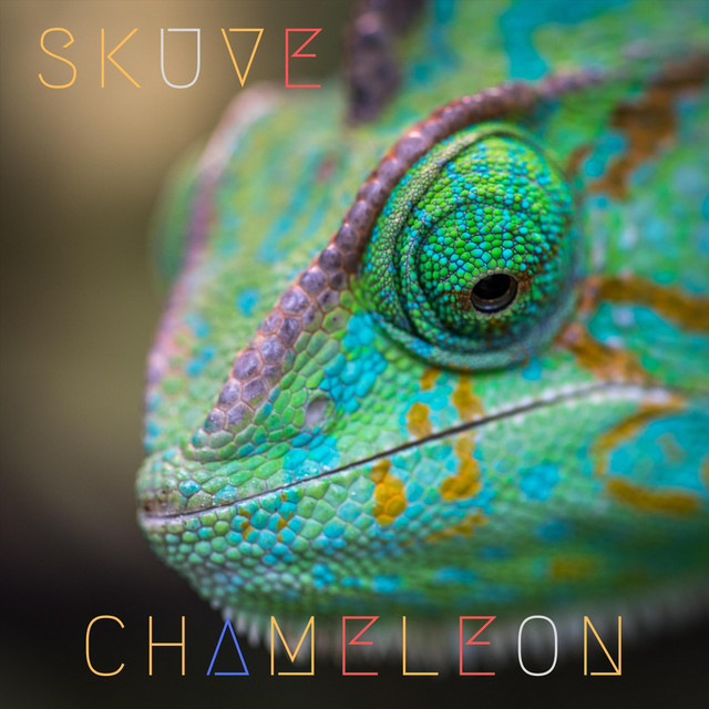 Chameleon cover art