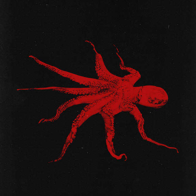 Grotesqualizer