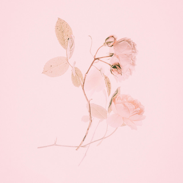 Timefall (single)