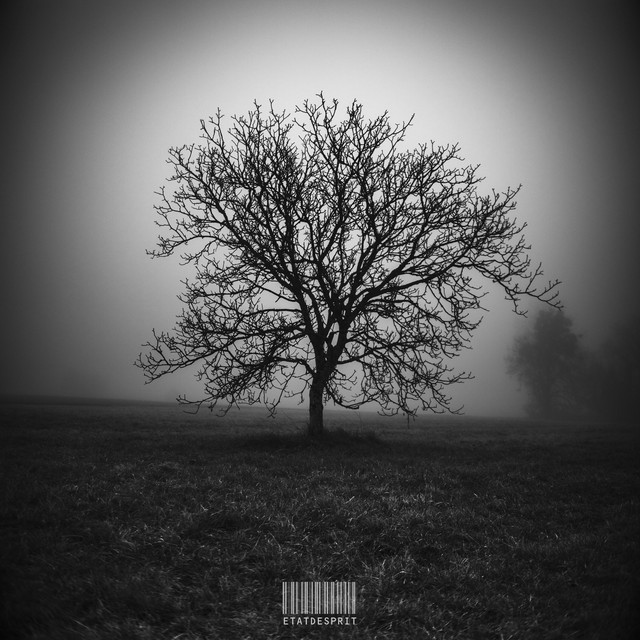 ÉTAT D'ESPRIT cover art