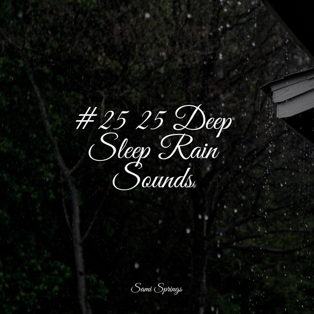 #25 25 Deep Sleep Rain Sounds - Album by Music For Absolute Sleep | Spotify