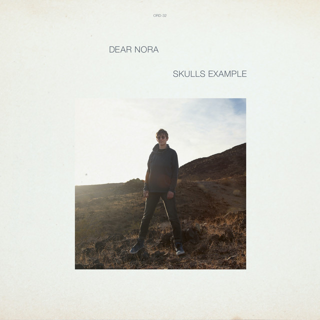 Skulls Example cover