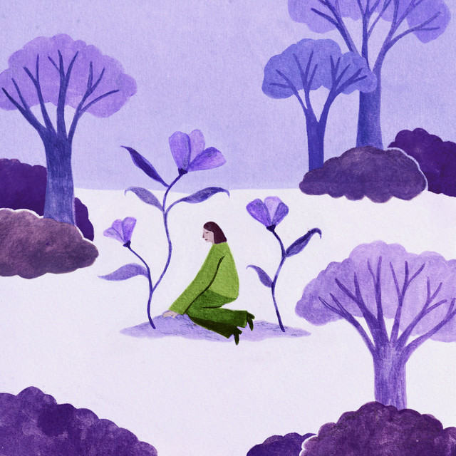 paula cover art