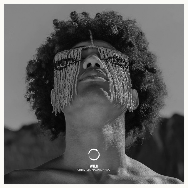 Wild album art