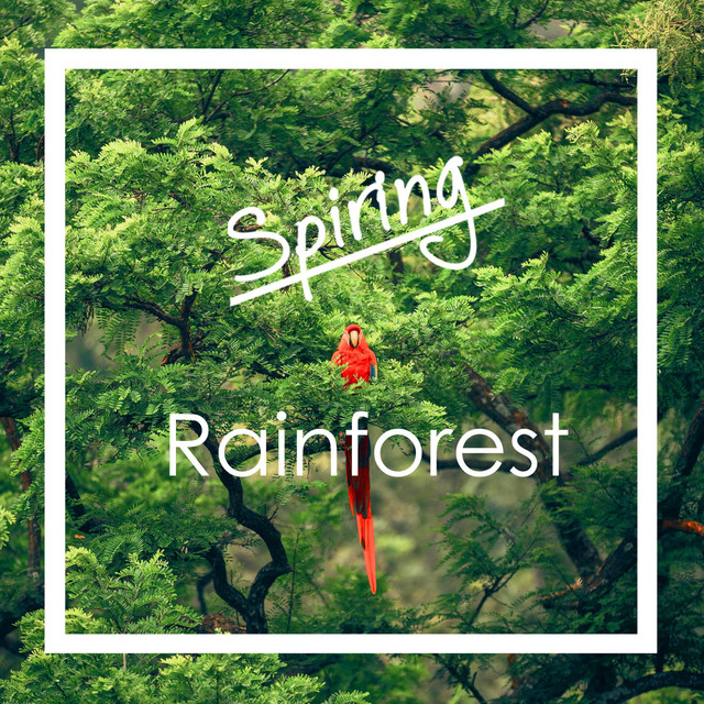 Rainforest
