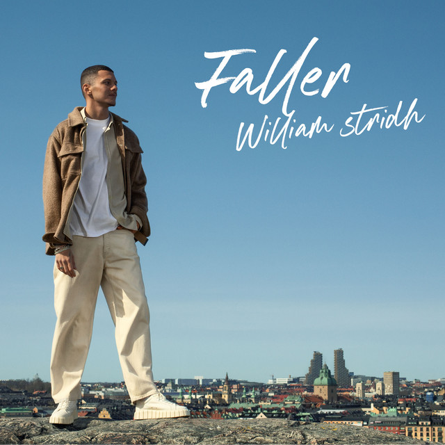 Faller cover art