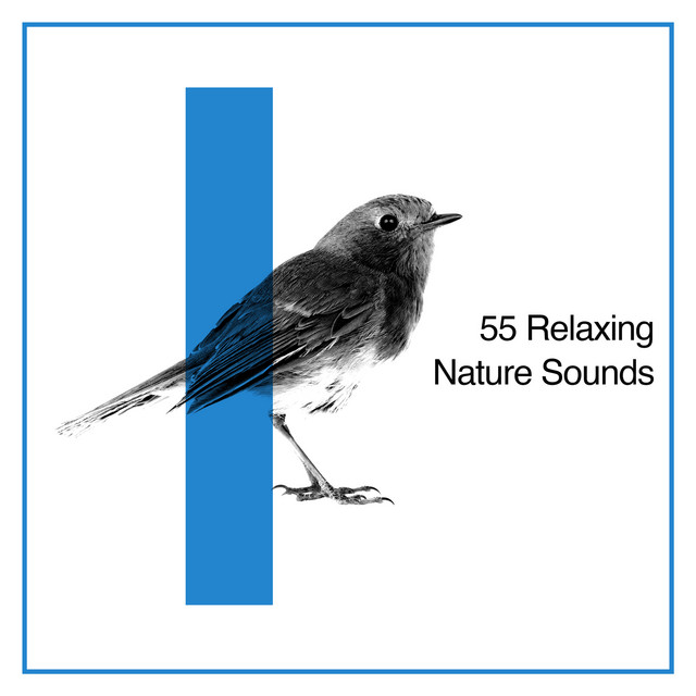 55 Relaxing Nature Sounds - Album by Nature Sounds for Sleep and ...