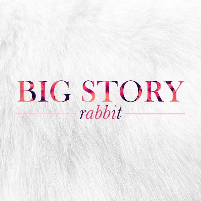 Rabbit cover