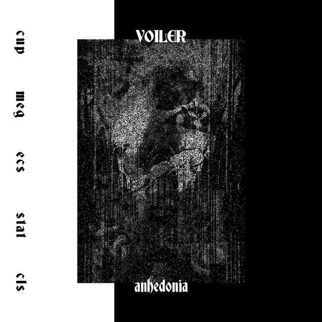 VOILER