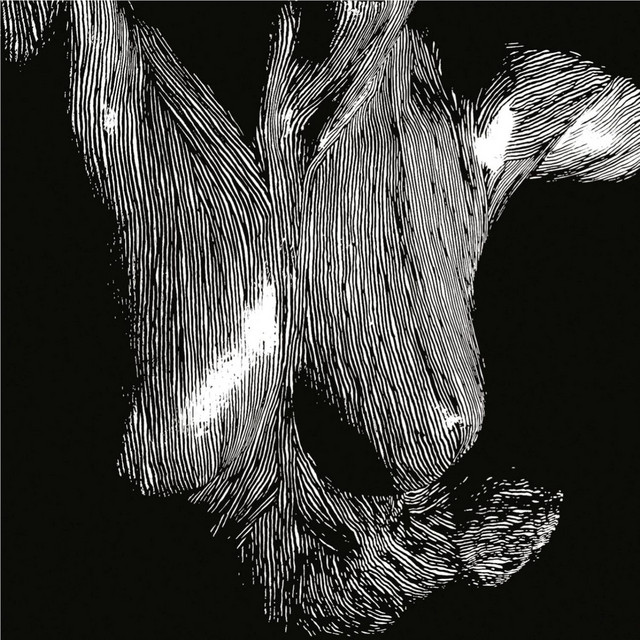 Self Preserved While The Bodies Float Up cover art