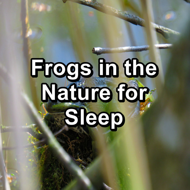 Frogs in the Nature for Sleep cover art