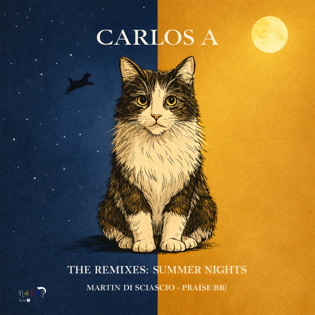 Summer Nights - Martin Di Sciascio Remix album art