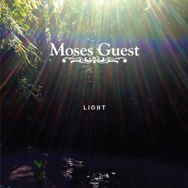 Light cover art