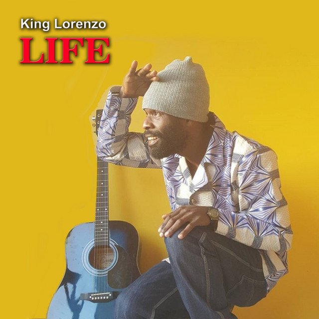 Life cover art