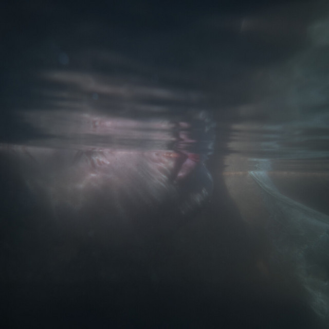 Sharks album image