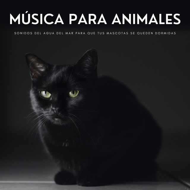 Música Para Animales: Sonidos Del Agua Del Mar Para Que Tus Mascotas Se Queden Dormidas cover art