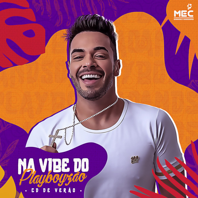 Na Vibe do Playboyzão cover art