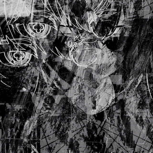 viscid bloom cover