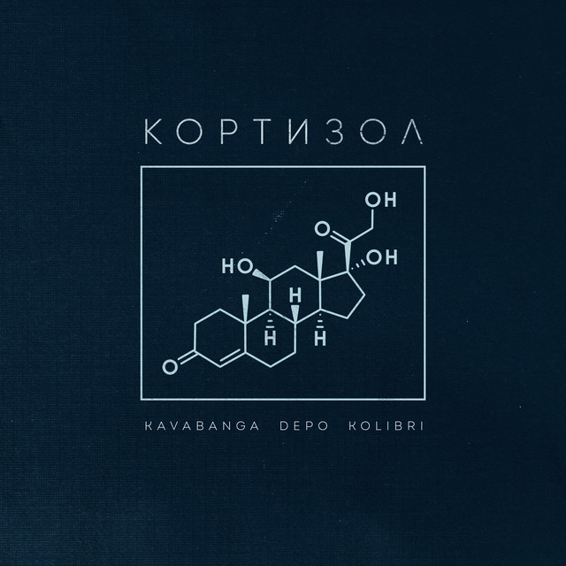 Обкладинка: Кортизол — kavabanga Depo kolibri
