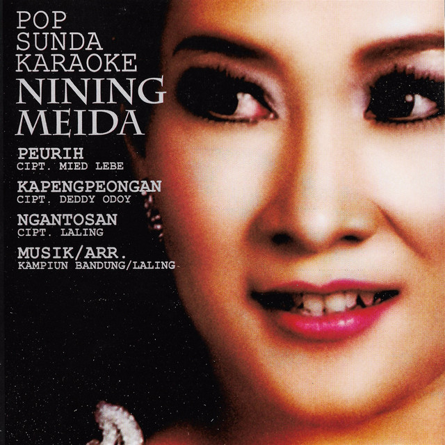 Pop Sunda Karaoke Nining Meida cover art