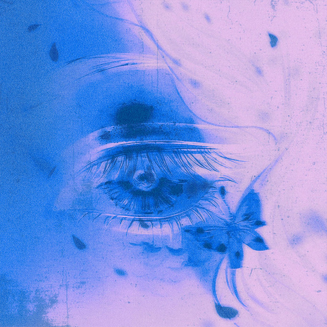 HVXSIDE