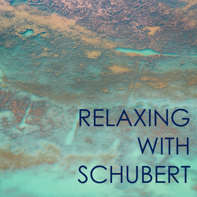 Relaxing with Schubert - Compilation by Franz Schubert | Spotify