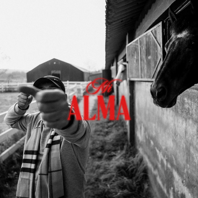 MI ALMA cover art