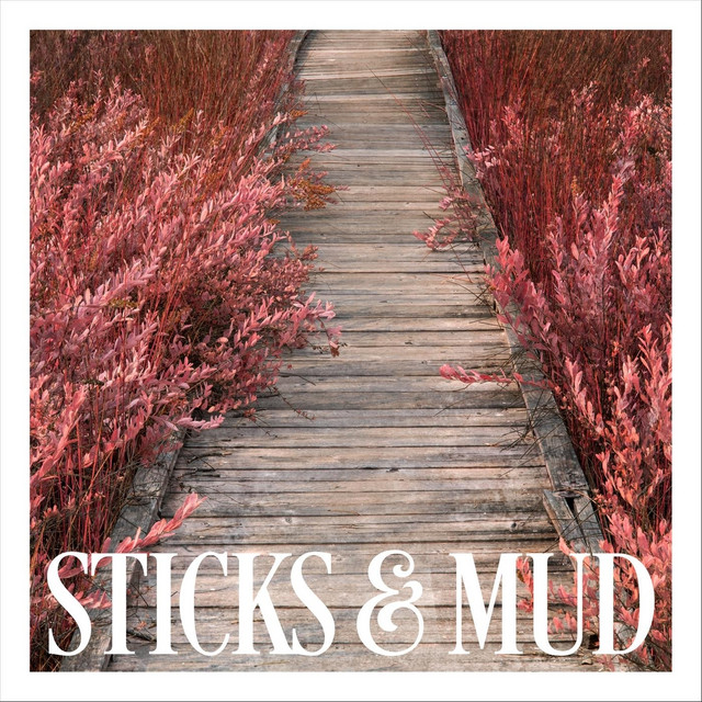 Sticks & Mud