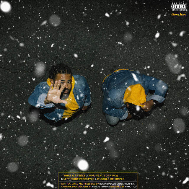 Disco Fiasco cover art