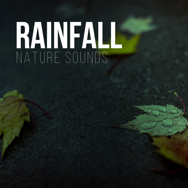 Rainfall cover art
