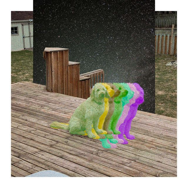 space dog cover art