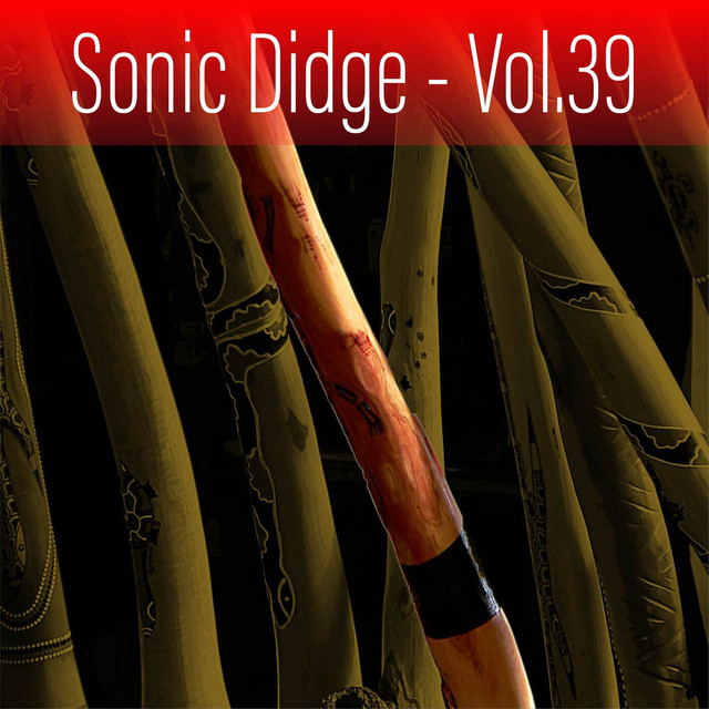 Sonic Didge, Vol. 39 cover
