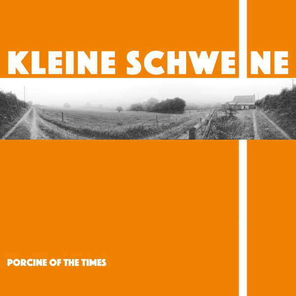 Kleine Schweine