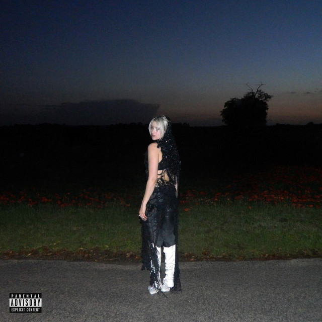 undefined album image