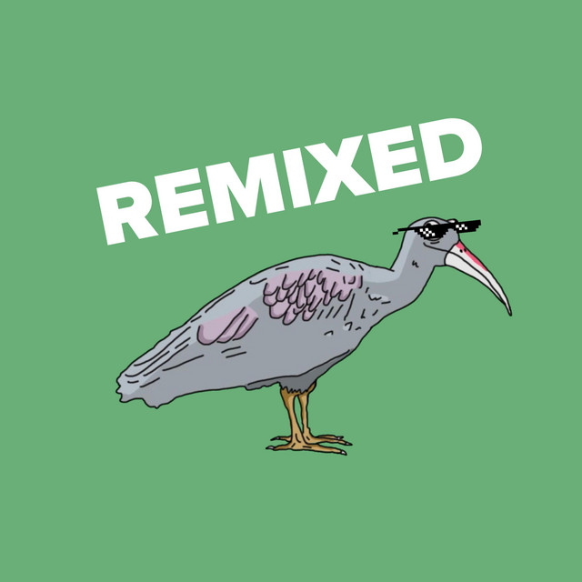 Hadeda Remix
