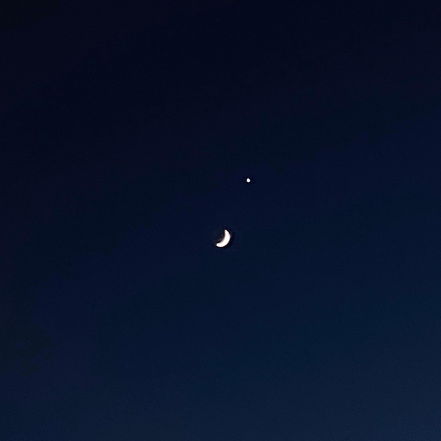 THÈMES cover art