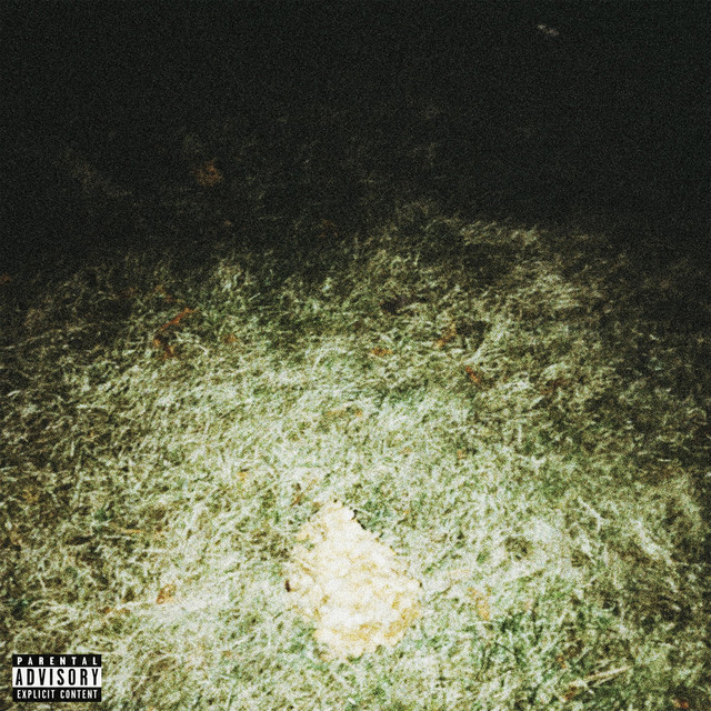 demos (2018-2019) cover art