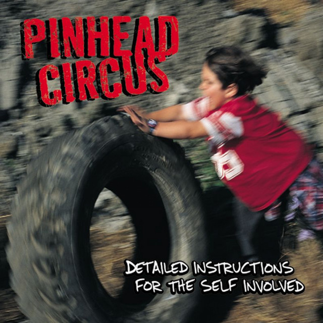 Detailed Instructions for the Self Involved cover art