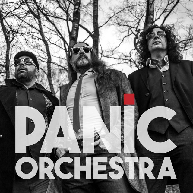 Panic Orchestra | Spotify