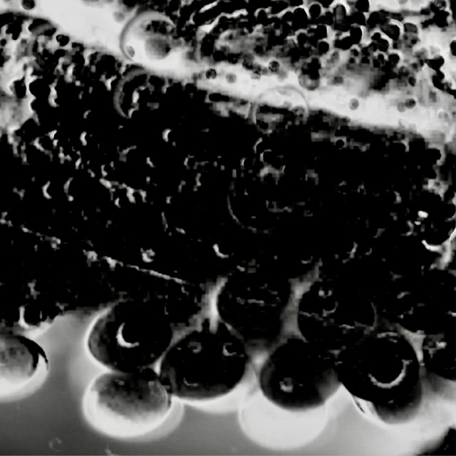 Well Halve Yr Background cover