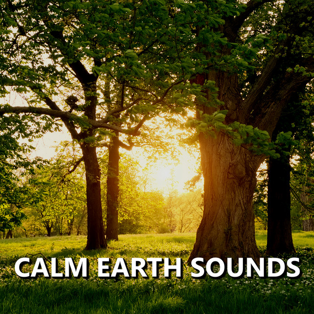 Calm Earth Sounds - Album by Earth Sounds | Spotify