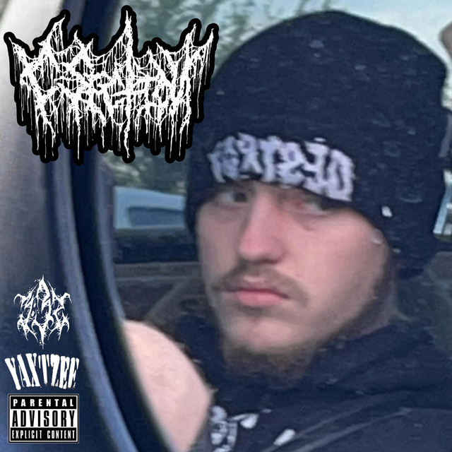 C-SECTiON cover art
