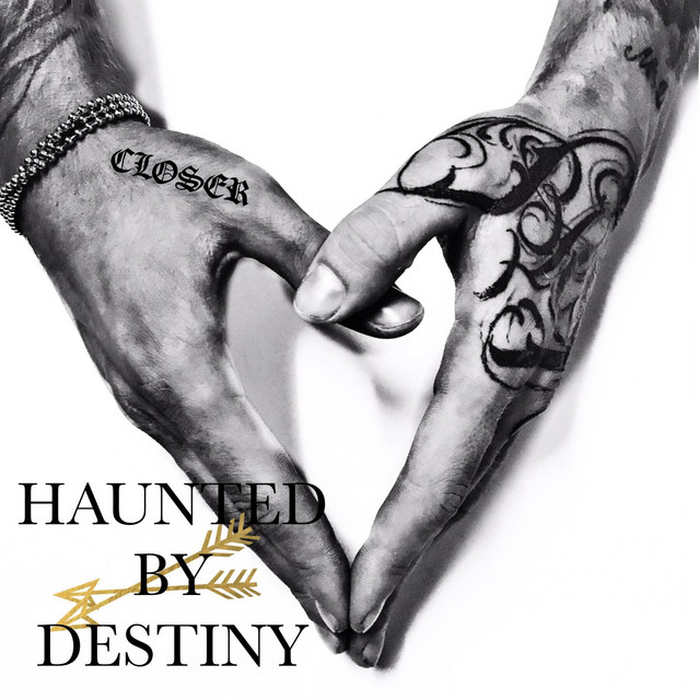 Closer cover